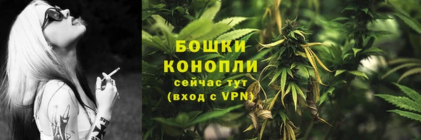 СК Арсеньев